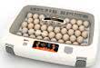 Egg incubator hatcher Rcom mx50 has automatic temp, humidity control and egg rolling - 110V. .auto-style2 { font-family: Arial, Helvetica, ...