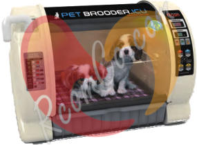 rcom-pet-brooder-icu-dogs